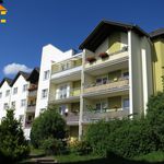 Rent 2 bedroom apartment of 58 m² in Lauter-Bernsbach