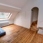 Huur 6 slaapkamer huis van 380 m² in Ixelles