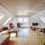 Lej 5-værelses lejlighed på 150 m² i Torrig
