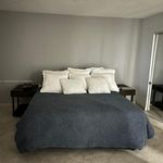 Rent 1 bedroom apartment of 952 m² in Miami Beach