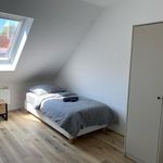Rent 2 bedroom apartment of 46 m² in Hannover