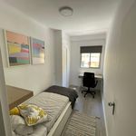 Alquilar 4 dormitorio apartamento en Málaga