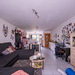 Rent 2 bedroom apartment of 115 m² in Zwijndrecht
