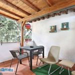 Rent 1 bedroom house of 80 m² in Montespertoli