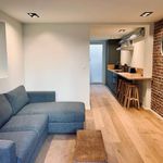 Huur 1 slaapkamer appartement van 38 m² in Ixelles