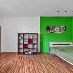 Rent 2 bedroom apartment of 67 m² in Pardubice