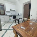 Rent 4 bedroom house of 140 m² in Frascati