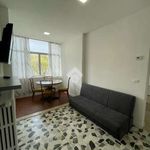 Affitto 5 camera appartamento di 100 m² in Bologna