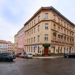 Rent 1 bedroom apartment of 20 m² in Prague