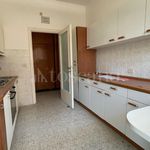 Rent 7 bedroom apartment of 250 m² in Roma