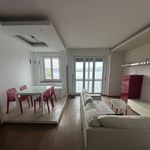 Rent 3 bedroom apartment of 75 m² in Castelletto sopra Ticino