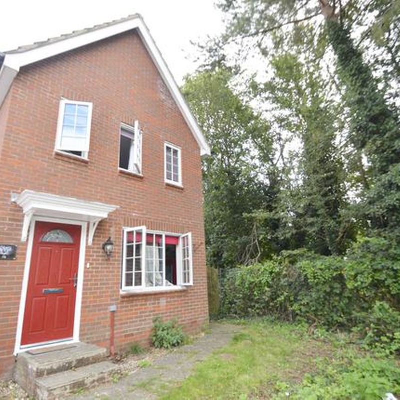 Link-detached house to rent in Atkinson Close, Norwich NR5 Bowthorpe