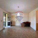 Rent 4 bedroom house of 120 m² in Caltagirone