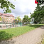 Rent 1 bedroom apartment of 35 m² in Brno