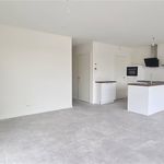 Rent 2 bedroom apartment in Turnhout