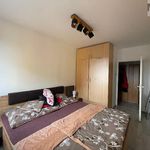Rent 1 bedroom apartment of 48 m² in Bilina