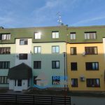Rent 11 bedroom apartment of 34 m² in Skuteč
