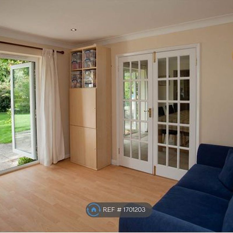 Detached house to rent in Waverley Drive, Tunbridge Wells TN2 Sherwood Park