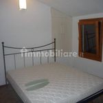 Rent 2 bedroom house of 40 m² in Padova