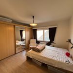 Rent 1 bedroom house of 210 m² in Leuven