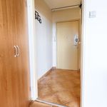 Rent 1 bedroom apartment of 32 m² in Poznań