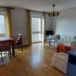 Bright, spacious and beautiful flat, Ratingen - Amsterdam Apartments for Rent