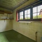 Rent 5 bedroom house of 260 m² in Wemmel