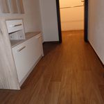 Rent 1 bedroom apartment of 45 m² in Bruntál