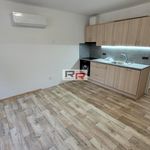 Rent 2 bedroom apartment of 50 m² in Olomouc