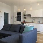 Rent 1 bedroom apartment of 38 m² in Antwerpen