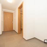 Rent 1 bedroom house of 51 m² in Pardubice