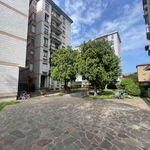 Rent 4 bedroom apartment of 125 m² in Monza