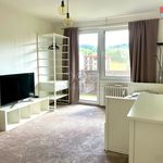 Rent 2 bedroom apartment in Benešov u Semil