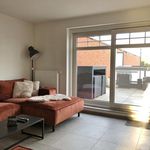Rent 2 bedroom apartment in Leopoldsburg