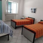 Affitto 1 camera appartamento di 70 m² in Termoli