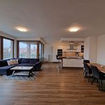 Rent 4 bedroom apartment of 109 m² in Plzeň