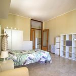 Rent 1 bedroom apartment of 21 m² in Brugherio
