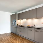 Rent 4 bedroom apartment of 90 m² in Solothurn