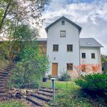 2-Raum-Wohnung mit Einbauküche in Schmiedeberg/Buschmühle