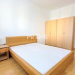 Rent 2 bedroom apartment of 55 m² in Konstantinovy Lázně