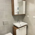 Rent 1 bedroom apartment of 35 m² in Jihlava
