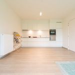 Rent 1 bedroom apartment in Merelbeke