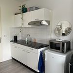 Huur 1 slaapkamer appartement van 20 m² in Arnhem