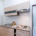 Rent 1 bedroom apartment of 35 m² in Ostrava