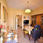 Rent 3 bedroom apartment of 80 m² in Turin