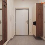 Rent 1 bedroom apartment of 28 m² in Plzeň