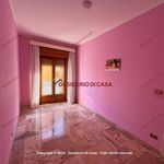 Affitto 4 camera appartamento di 169 m² in Palermo