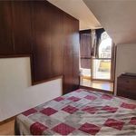 Affitto 2 camera appartamento di 60 m² in Pomezia