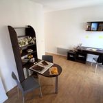 Rent 1 bedroom apartment of 19 m² in Villeurbanne