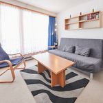 Rent 1 bedroom apartment of 31 m² in Vex
